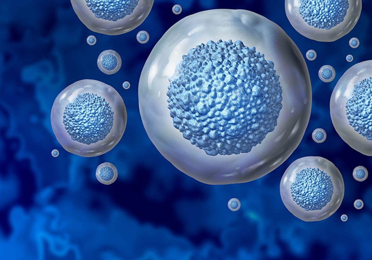 How is Stem Cell Therapy Performed?