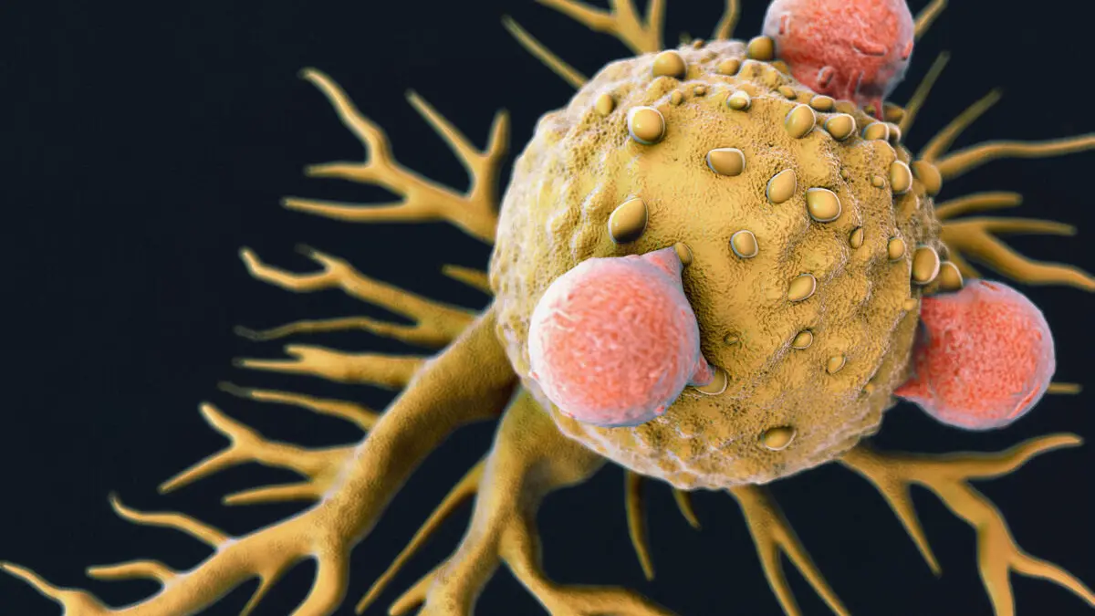 What is the goal of immunotherapy?