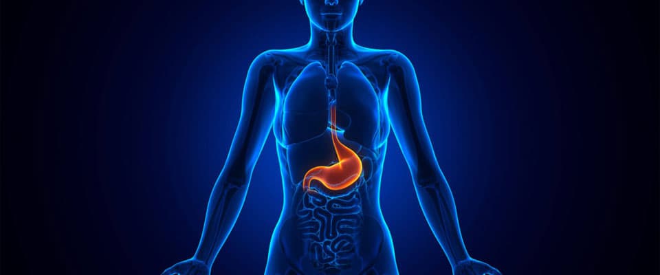 What are the Types of esophagectomy?