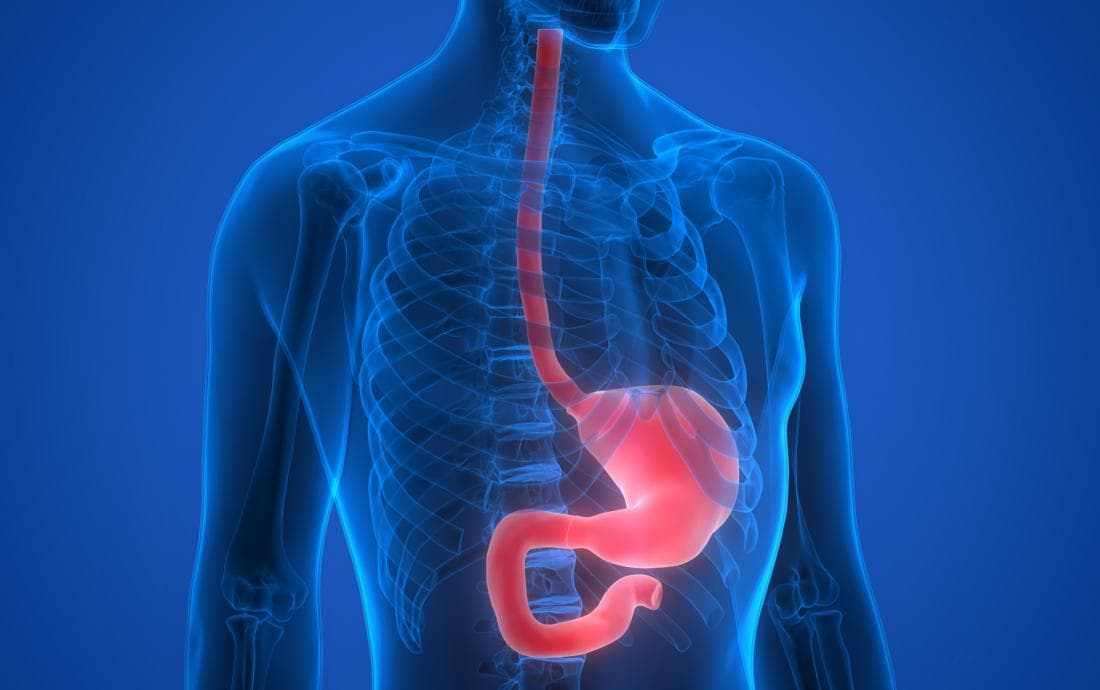 How to prepare for Esophagectomy?