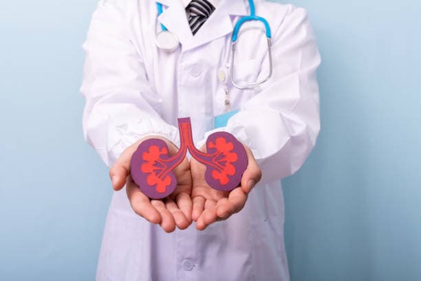 What are the Types of nephrectomy?