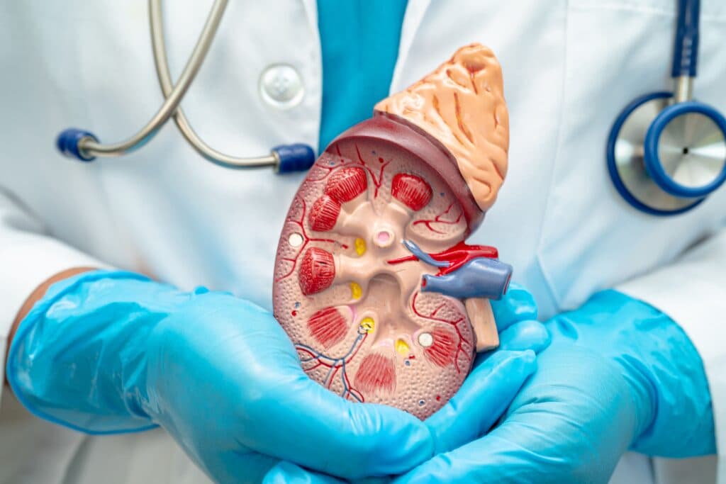 Nephrectomy recovery