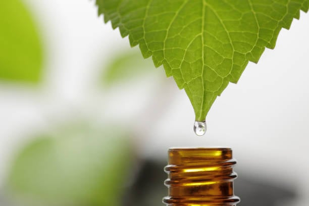 What counts as a Wellness Treatment?