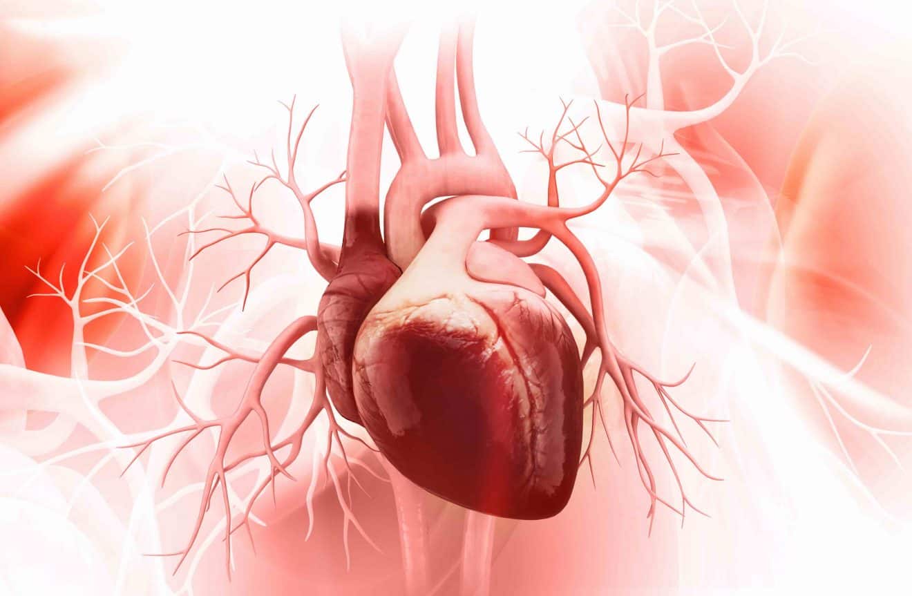 Congenital heart defect repair procedures