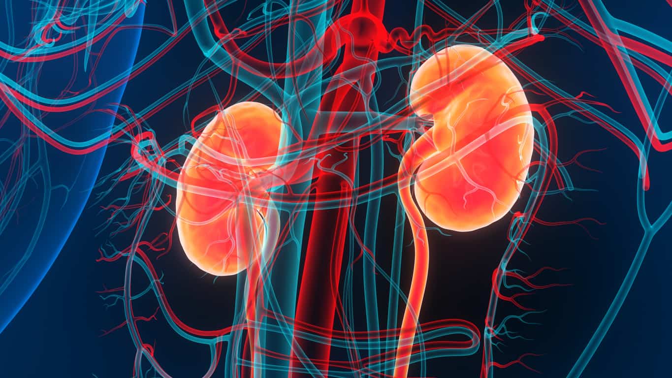 What is Dialysis?