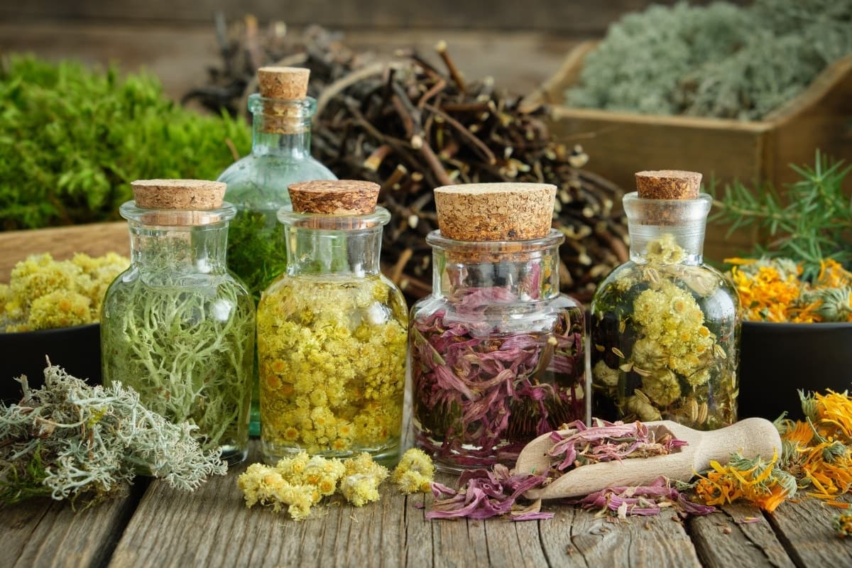 What are Herbal Medicine used for?